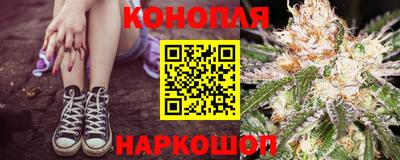 гашик Тверь