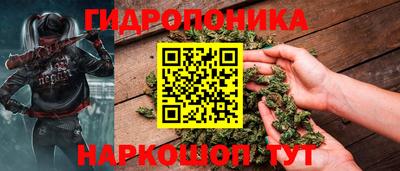 гашик Тверь