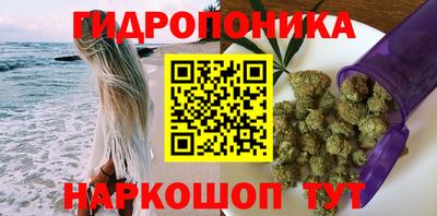 гашик Тверь
